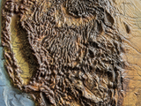 3D USA Map | A True Raised Relief Map