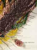 1873 New Zealand Vintage Geological Map | Antique Style Wall Art