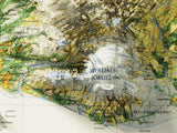 1998 Iceland Vintage Vegetation Map | Antique Style Wall Art