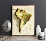 1950 South America Vintage Geological Map | Antique Style Wall Art