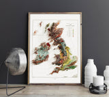 1904 United Kingdom Vintage Geological Map | Antique Style Wall Art