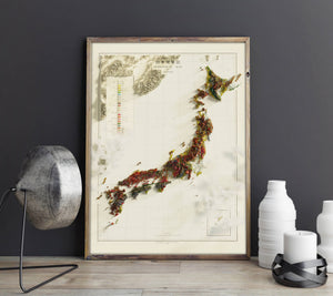 1956 Japan Vintage Geological Map | Antique Style Wall Art