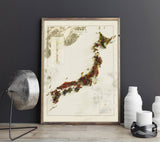 1956 Japan Vintage Geological Map | Antique Style Wall Art