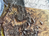 3D USA Map - A True Raised Relief Map - The best gift