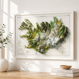 1998 Iceland Vintage Vegetation Map | Antique Style Wall Art
